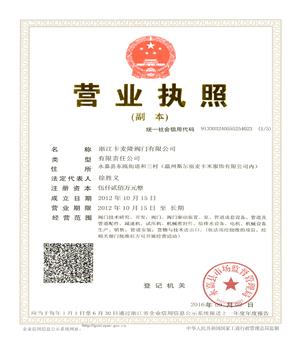 卡麦隆阀门（五证合一）.jpg