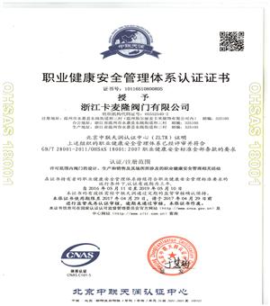 ISO18001中文版.jpg
